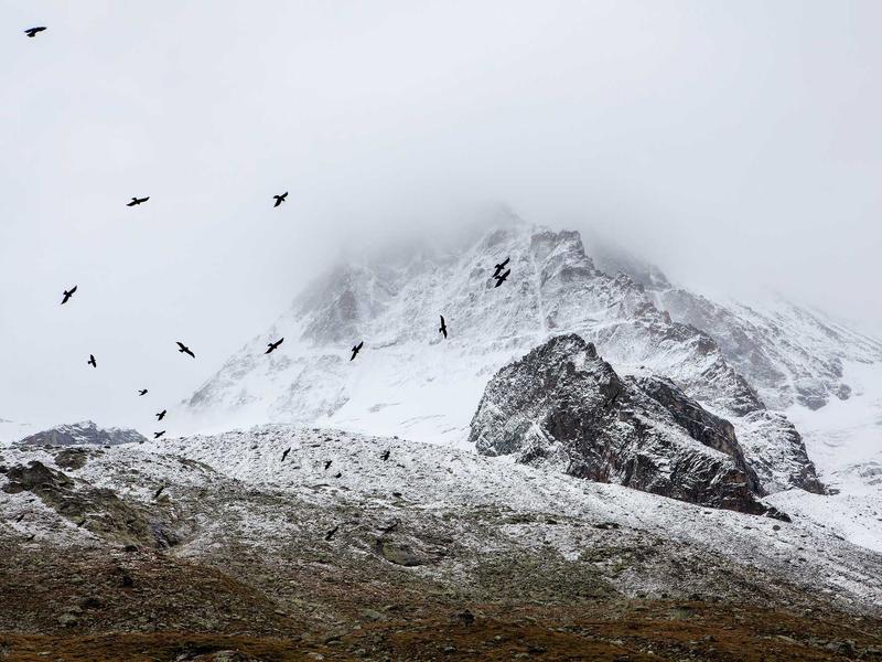 sudoku unique rectangle screenshot 4